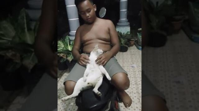 Sange sama kucing!1!1! Sange sama kucing!1!1!
