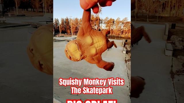 Squishy monkey big splat! #japan #funny #baby #squishy #monkey #funnymonkey #funnyanimal #grimace Squishy monkey big splat! #japan #funny #baby #squishy #monkey #funnymonkey #funnyanimal #grimace