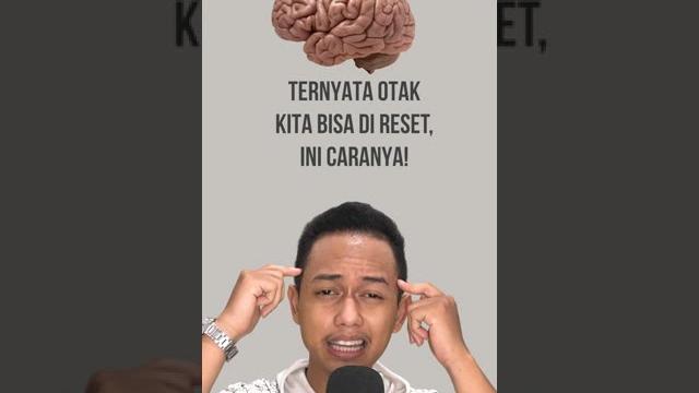 Unik! ternyata otak kita bisa di reset Unik! ternyata otak kita bisa di reset