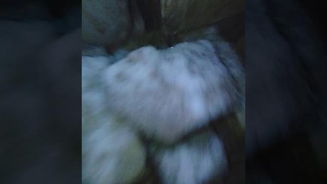 Завтра руфинг/ зима пришла Завтра руфинг/ зима пришла