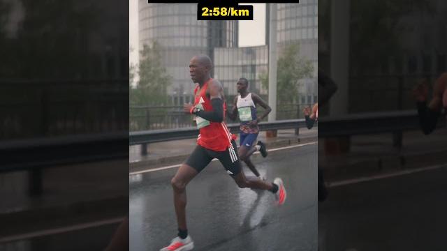 1:02:50 half | riga half marathon 1:02:50 half | riga half marathon