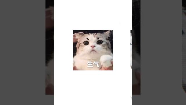 【声控】抖音声控女友仙仙儿asmr 这是不是你女朋友吵架时候的样子,发给她看 【声控】抖音声控女友仙仙儿asmr 这是不是你女朋友吵架时候的样子,发给她看