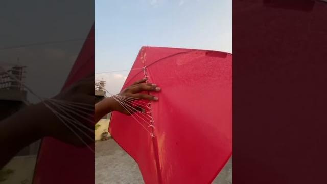 Kite flying #mohitkitefighting #kite #patangbazi Kite flying #mohitkitefighting #kite #patangbazi