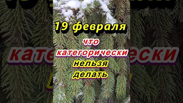 19 февраля народный праздник вукол телятник. что категорически нельзя делать. народные приметы 19 февраля народный праздник вукол телятник. что категорически нельзя делать. народные приметы