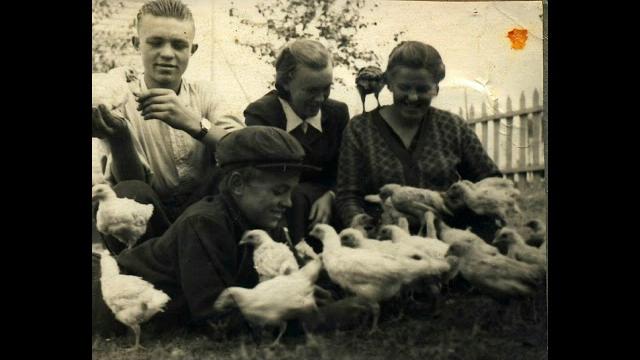 Памяти альберта робертус Памяти альберта робертус