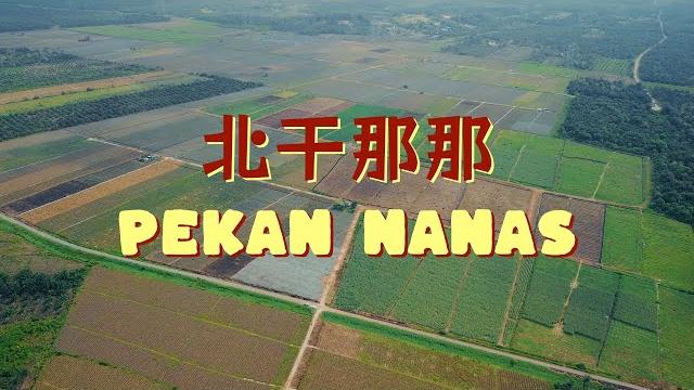 黃梨之鄉 land of pineapples // 北干那那 pekan nanas 黃梨之鄉 land of pineapples // 北干那那 pekan nanas
