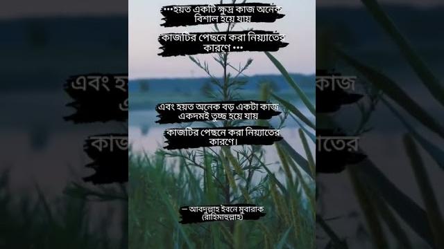 #sort #tiktokviral #islamicstatus #islamicwhatsappstatus #bangla_islamic_status #shorts #viralshorts #sort #tiktokviral #islamicstatus #islamicwhatsappstatus #bangla_islamic_status #shorts #viralshorts