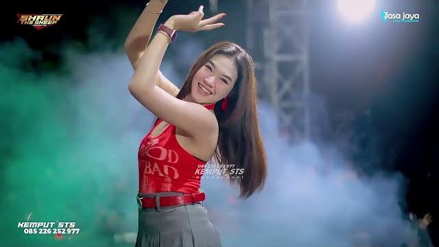 Dj kemput sts shaun the sheep - happy party erwe one squad team - sendangsoko jakenan pati Dj kemput sts shaun the sheep - happy party erwe one squad team - sendangsoko jakenan pati