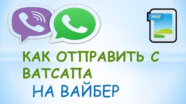 Как отправить с ватсапа на вайбер Как отправить с ватсапа на вайбер