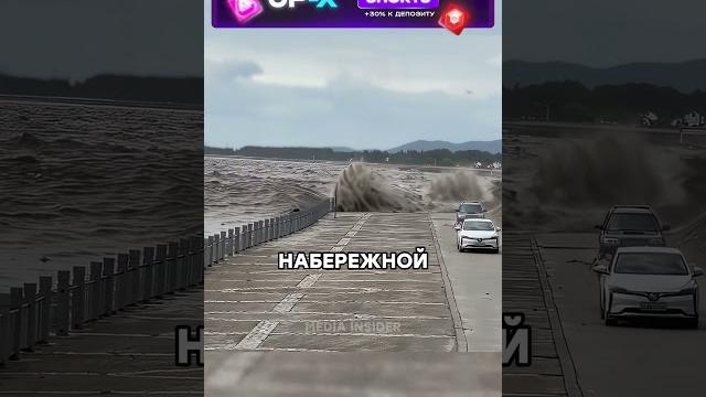 Последствия урагана милтон Последствия урагана милтон