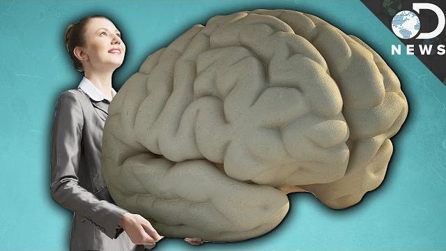 Why do humans have such big brains? Why do humans have such big brains?