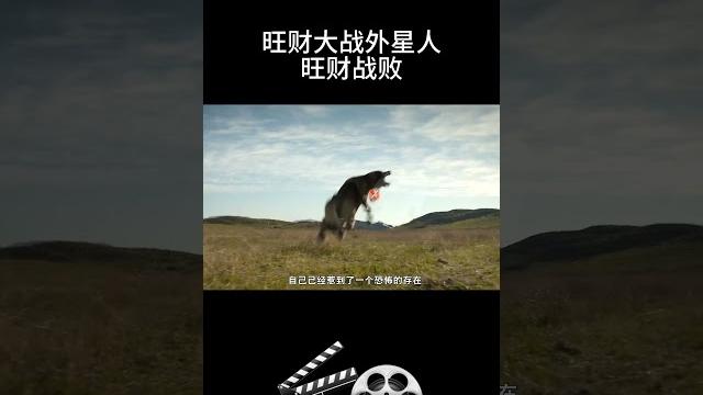 旺财大战外星人旺财战败 #影视 #影视解说 #影视推荐 #movie 旺财大战外星人旺财战败 #影视 #影视解说 #影视推荐 #movie