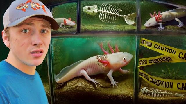 I found an abandoned axolotl farm I found an abandoned axolotl farm