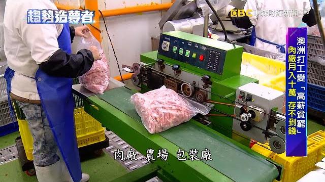 澳洲打工變「高薪貧窮」肉廠月入十萬 存不到錢【趨勢造夢者】@57etfn 澳洲打工變「高薪貧窮」肉廠月入十萬 存不到錢【趨勢造夢者】@57etfn