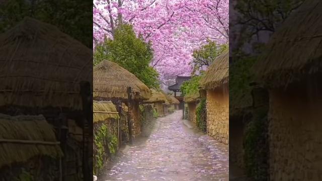 Most beautiful places in south korea Most beautiful places in south korea
