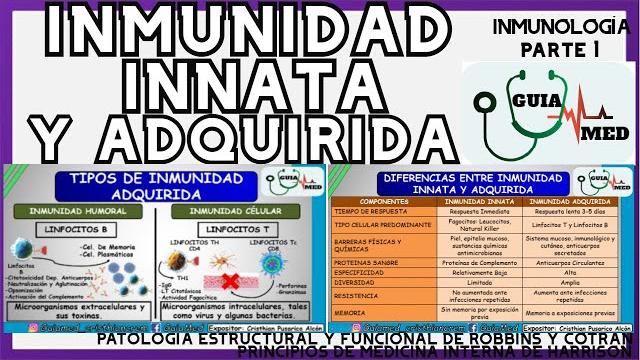 Inmunidad innata y adquirida inmunología | guiamed Inmunidad innata y adquirida inmunología | guiamed