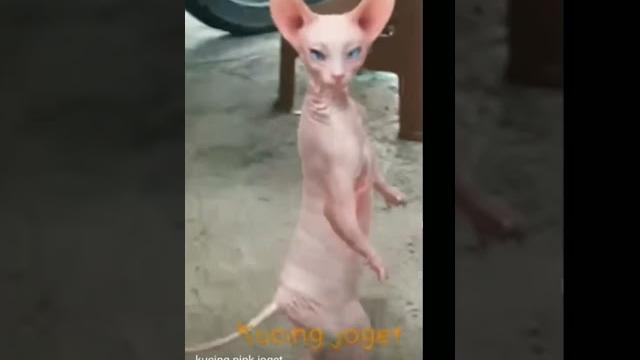 Ka kk kkk kk kj kk Ka kk kkk kk kj kk