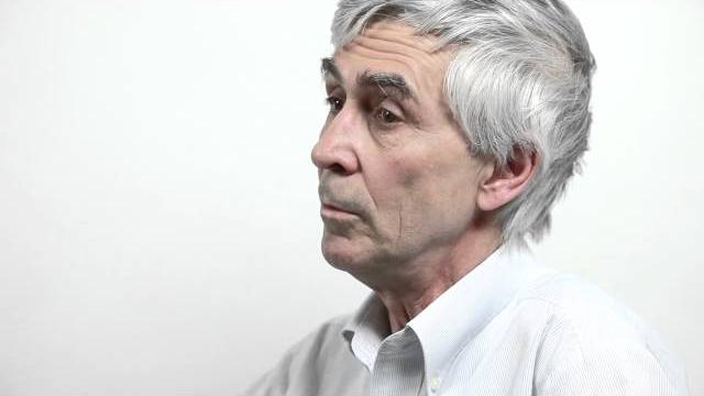 Михаил данилов - стандартная модель Михаил данилов - стандартная модель