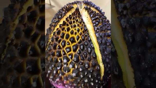 Durian bakar lezatnya,,,! Durian bakar lezatnya,,,!