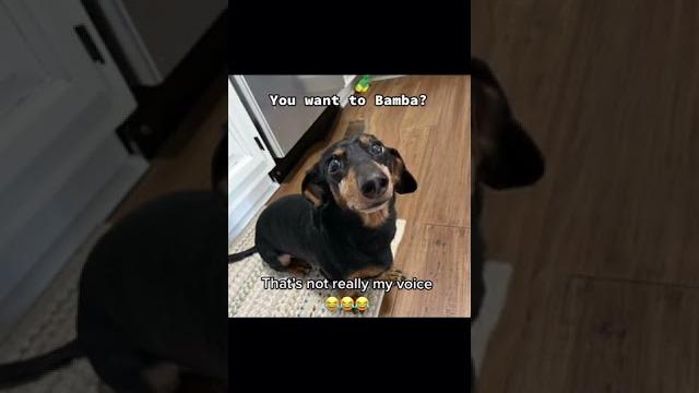 You want to bamba? You want to bamba?