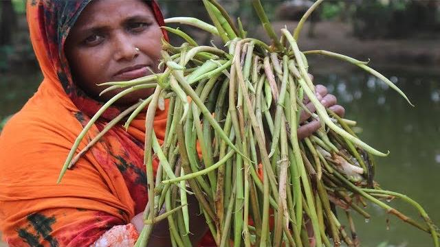 Farm fresh arum-lobe recipe delicious kochur loti with fish curry how to cook arum-lobe village food Farm fresh arum-lobe recipe delicious kochur loti with fish curry how to cook arum-lobe village food