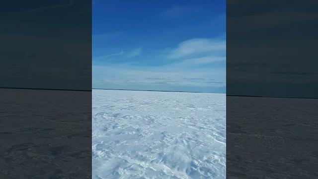 Тайга патруль 800 swt Тайга патруль 800 swt