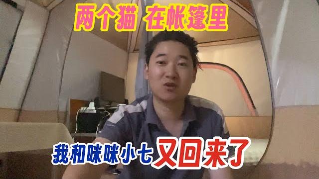 我和咪咪小七 回来了!两只猫在帐篷里~看看我打造的空间!它们俩很快适应了! 我和咪咪小七 回来了!两只猫在帐篷里~看看我打造的空间!它们俩很快适应了!