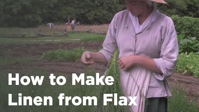 How to make linen from flax How to make linen from flax