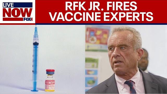 Rfk jr. removes entire cdc vaccine panel Rfk jr. removes entire cdc vaccine panel