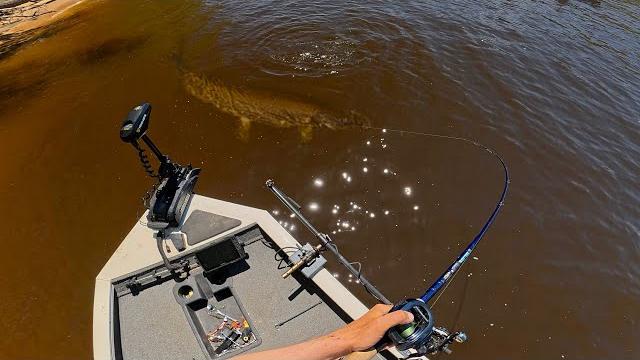 I've never seen so many giant pike! I've never seen so many giant pike!