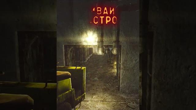 Как не умирать от диких? ● побег из таркова ● tarkov ● eft ● тарков ● ефт ● escape from tarkov Как не умирать от диких? ● побег из таркова ● tarkov ● eft ● тарков ● ефт ● escape from tarkov