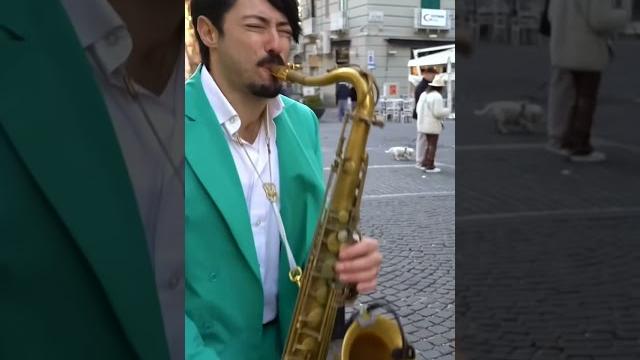 #saxophone #music #ayam #birds #ktrot #saxophone #music #ayam #birds #ktrot