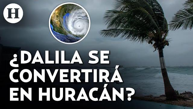 ¿lloverá el día del padre? tormenta tropical dalila traerá intensas precipitaciones a estos estados ¿lloverá el día del padre? tormenta tropical dalila traerá intensas precipitaciones a estos estados