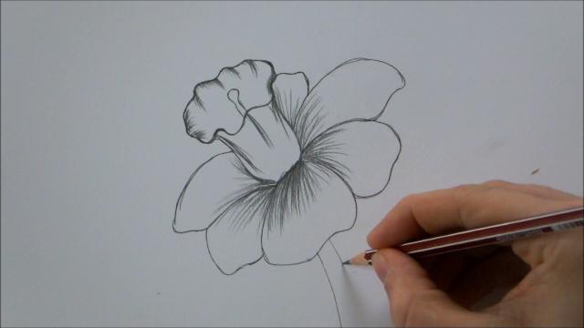 How to draw a flower step by step in 6 minutes! How to draw a flower step by step in 6 minutes!