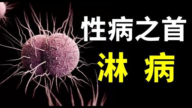 淋病有多可怕?感染後有化膿的白色液體,50%以上白細胞竟對其無能為力!【奇思诺想】 淋病有多可怕?感染後有化膿的白色液體,50%以上白細胞竟對其無能為力!【奇思诺想】