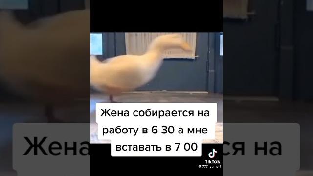 Как жена собирается на работу Как жена собирается на работу
