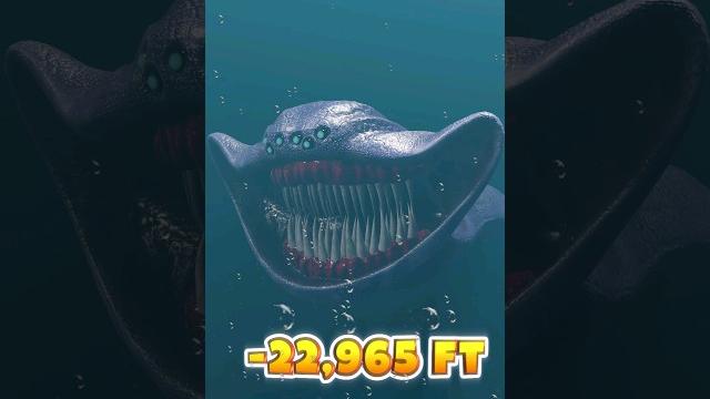 Deep sea creatures are found great white shark vs el gran maja Deep sea creatures are found great white shark vs el gran maja