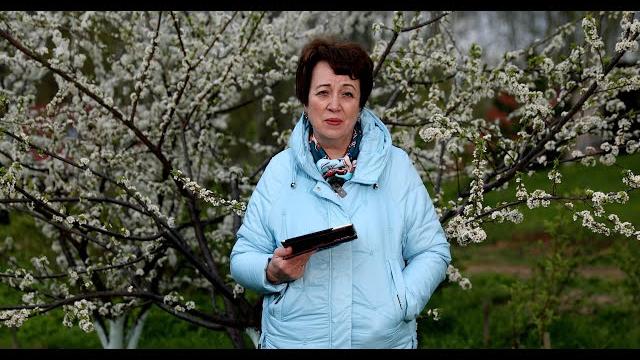 3538. хлеб на каждый день. 4 июня. псалом 83:7 3538. хлеб на каждый день. 4 июня. псалом 83:7