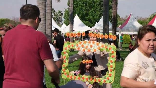 Adana portakal çiçeği festivali 2024 Adana portakal çiçeği festivali 2024