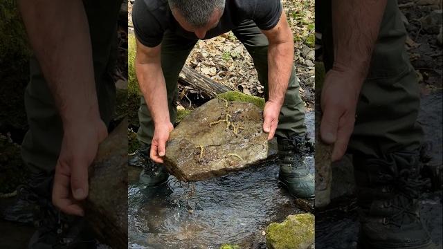 Survival skills: strong camping chair from natural materials! #campping #survival #outdoors Survival skills: strong camping chair from natural materials! #campping #survival #outdoors