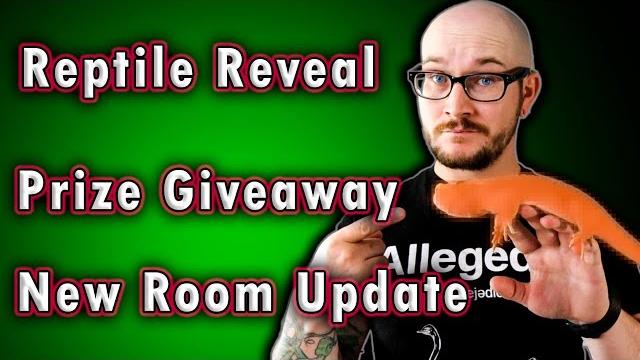Reptile reveal, prize giveaway, room update (house tour) Reptile reveal, prize giveaway, room update (house tour)