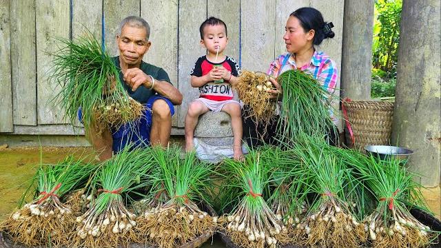 Harvest the vegetable garden with family go to market sell - live with nature | tin's daily life Harvest the vegetable garden with family go to market sell - live with nature | tin's daily life
