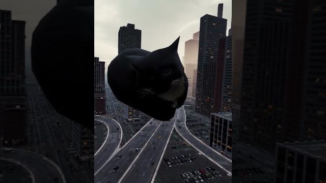 Giant maxwell cat in center of new york #shorts Giant maxwell cat in center of new york #shorts