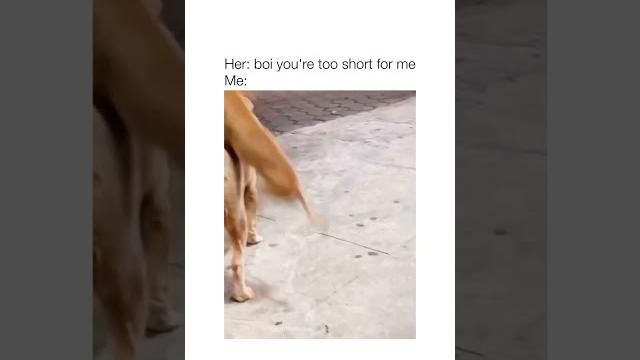 Porn hub video sex videos anal Porn hub video sex videos anal