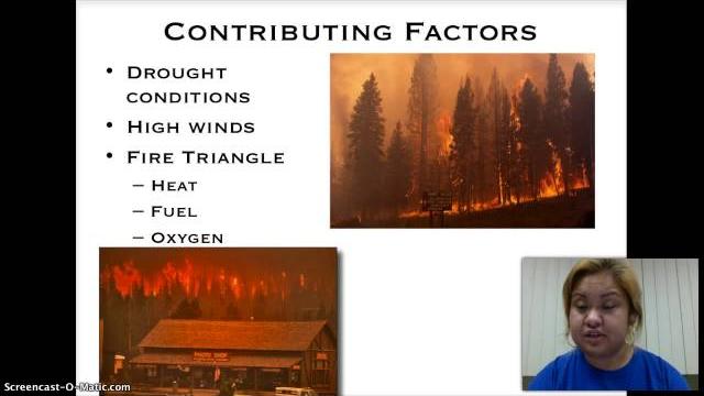 1988 yellowstone fires 1988 yellowstone fires