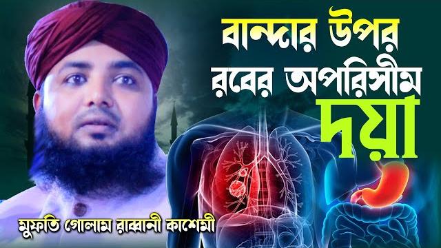 বান্দার উপর রবের অপরিসীম দয়া! | mufti golam rabbani kashemi | গোলাম রাব্বানী কাশেমী | bangla waz | বান্দার উপর রবের অপরিসীম দয়া! | mufti golam rabbani kashemi | গোলাম রাব্বানী কাশেমী | bangla waz |