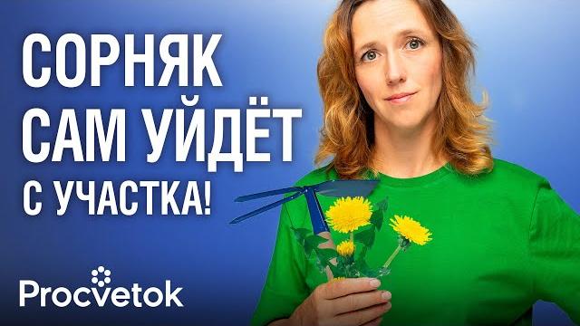 Из-за этой ошибки сорняков становится в разы больше! как быстро и легко избавиться от всех сорняков Из-за этой ошибки сорняков становится в разы больше! как быстро и легко избавиться от всех сорняков