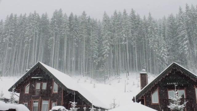 Blizzard storm sounds | relaxing winter background sounds | heavy wind & snow Blizzard storm sounds | relaxing winter background sounds | heavy wind & snow