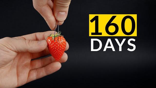 Strawberry from seed time-lapse 160 days Strawberry from seed time-lapse 160 days