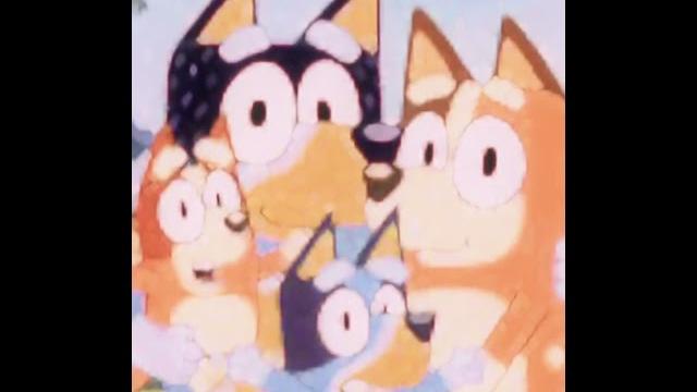 Bluey edit (warning) flashing lights Bluey edit (warning) flashing lights